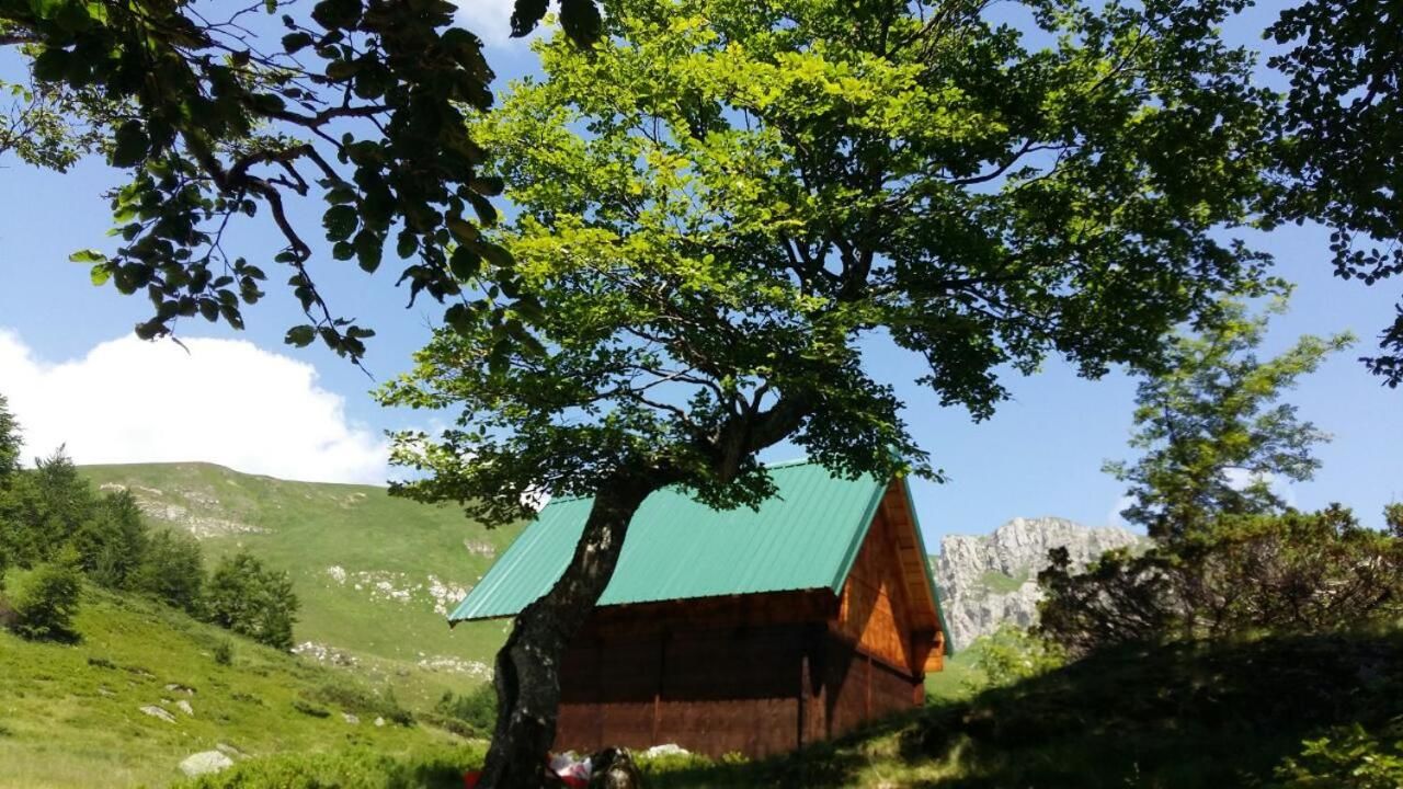 Дома для отпуска Eko katun Kolijevka Беране