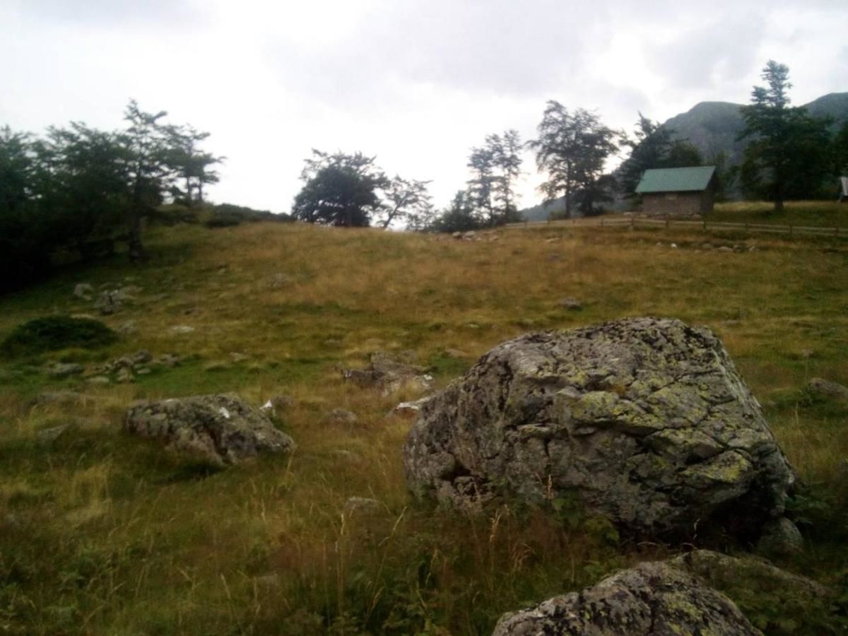 Дома для отпуска Eko katun Kolijevka Беране