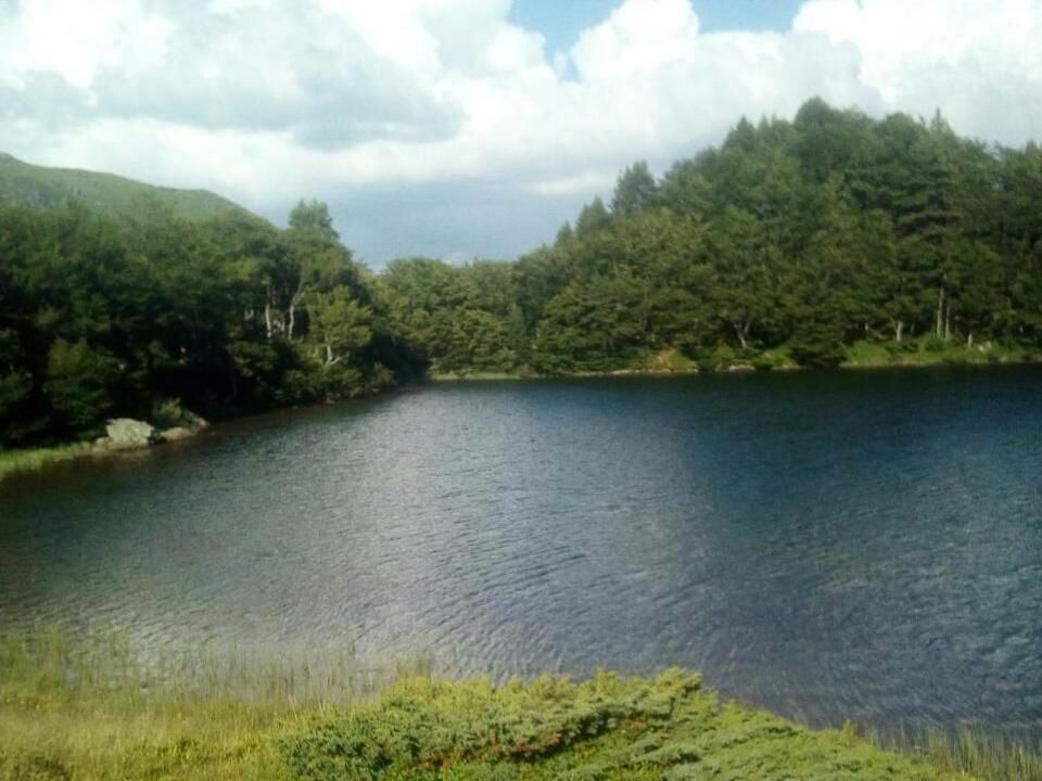 Дома для отпуска Eko katun Kolijevka Беране
