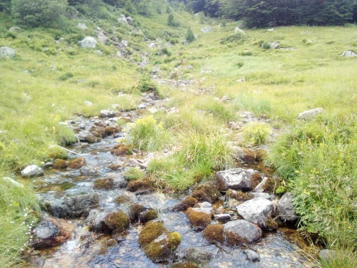 Дома для отпуска Eko katun Kolijevka Беране