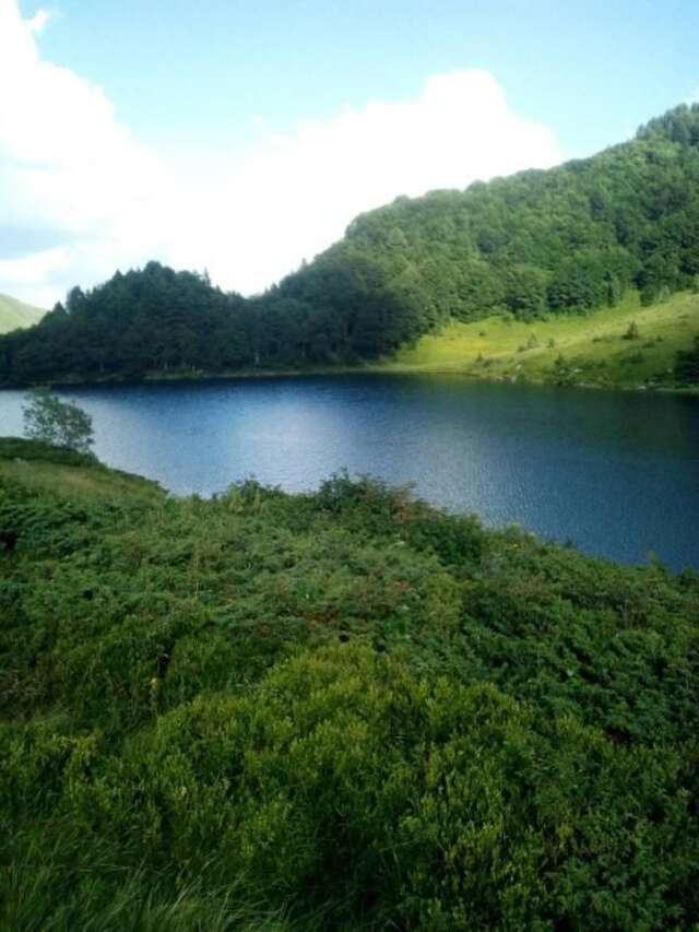 Дома для отпуска Eko katun Kolijevka Беране-34
